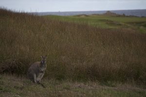 IMG_1558 LOW